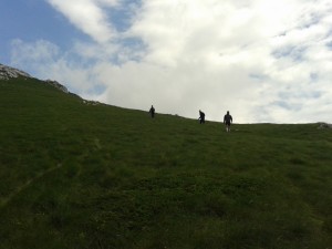 Green Downhill