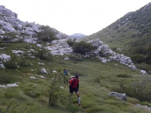 True trek 